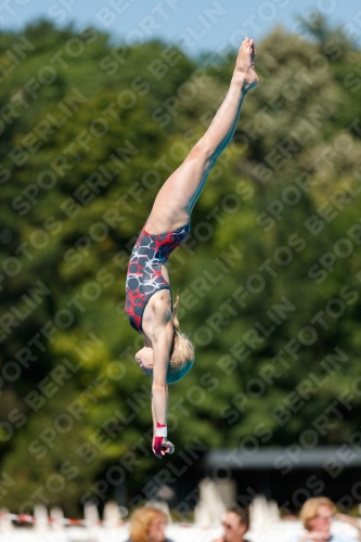 2017 - 8. Sofia Diving Cup 2017 - 8. Sofia Diving Cup 03012_25469.jpg