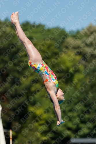 2017 - 8. Sofia Diving Cup 2017 - 8. Sofia Diving Cup 03012_25490.jpg
