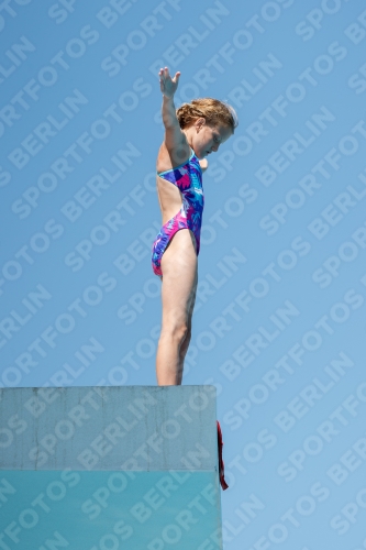 2017 - 8. Sofia Diving Cup 2017 - 8. Sofia Diving Cup 03012_25501.jpg