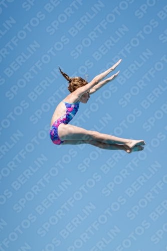 2017 - 8. Sofia Diving Cup 2017 - 8. Sofia Diving Cup 03012_25506.jpg