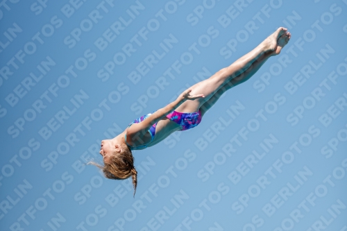 2017 - 8. Sofia Diving Cup 2017 - 8. Sofia Diving Cup 03012_25508.jpg