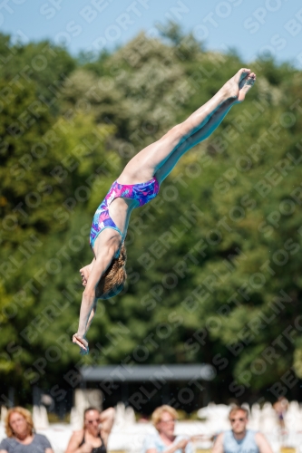 2017 - 8. Sofia Diving Cup 2017 - 8. Sofia Diving Cup 03012_25511.jpg