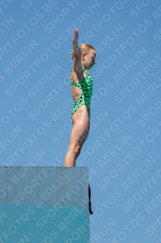 2017 - 8. Sofia Diving Cup 2017 - 8. Sofia Diving Cup 03012_25520.jpg