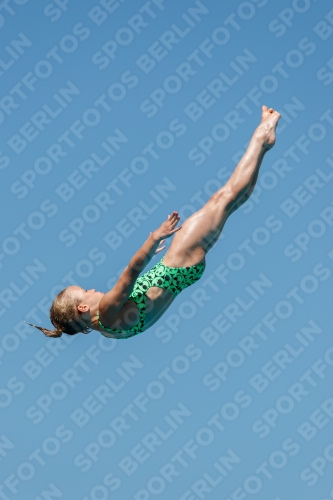 2017 - 8. Sofia Diving Cup 2017 - 8. Sofia Diving Cup 03012_25525.jpg