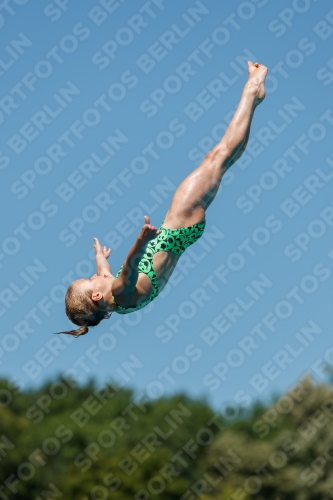 2017 - 8. Sofia Diving Cup 2017 - 8. Sofia Diving Cup 03012_25526.jpg