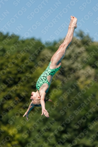 2017 - 8. Sofia Diving Cup 2017 - 8. Sofia Diving Cup 03012_25527.jpg
