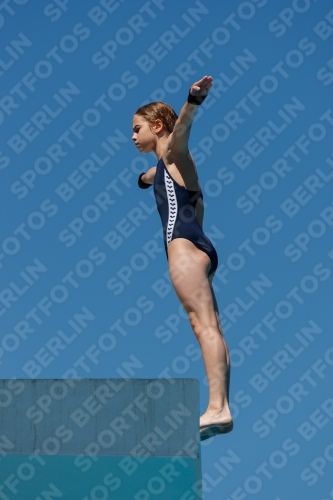 2017 - 8. Sofia Diving Cup 2017 - 8. Sofia Diving Cup 03012_25532.jpg