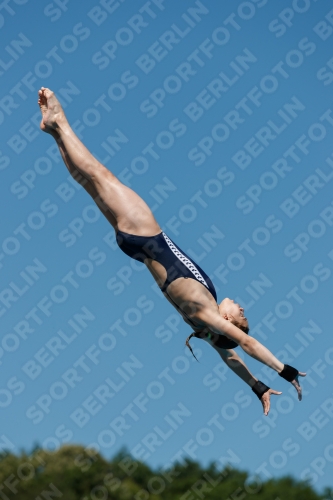 2017 - 8. Sofia Diving Cup 2017 - 8. Sofia Diving Cup 03012_25539.jpg