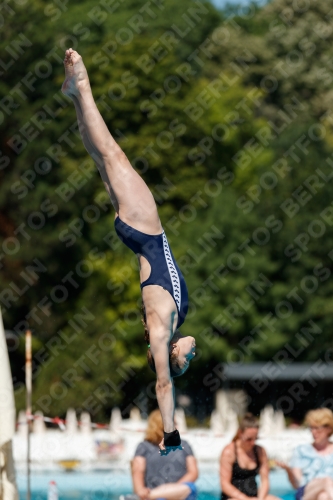 2017 - 8. Sofia Diving Cup 2017 - 8. Sofia Diving Cup 03012_25541.jpg