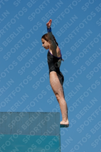 2017 - 8. Sofia Diving Cup 2017 - 8. Sofia Diving Cup 03012_25543.jpg