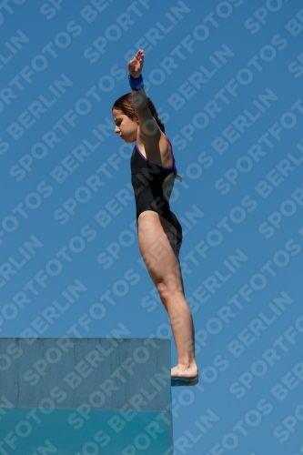 2017 - 8. Sofia Diving Cup 2017 - 8. Sofia Diving Cup 03012_25544.jpg