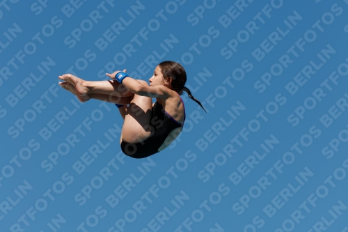 2017 - 8. Sofia Diving Cup 2017 - 8. Sofia Diving Cup 03012_25548.jpg