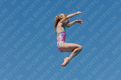 2017 - 8. Sofia Diving Cup 2017 - 8. Sofia Diving Cup 03012_25552.jpg