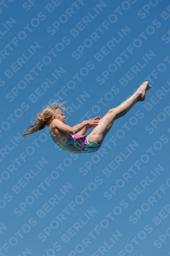 2017 - 8. Sofia Diving Cup 2017 - 8. Sofia Diving Cup 03012_25554.jpg