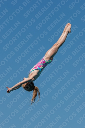 2017 - 8. Sofia Diving Cup 2017 - 8. Sofia Diving Cup 03012_25555.jpg