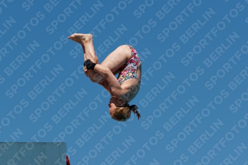 2017 - 8. Sofia Diving Cup 2017 - 8. Sofia Diving Cup 03012_25573.jpg