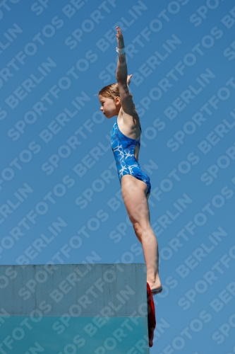 2017 - 8. Sofia Diving Cup 2017 - 8. Sofia Diving Cup 03012_25587.jpg