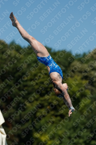 2017 - 8. Sofia Diving Cup 2017 - 8. Sofia Diving Cup 03012_25593.jpg