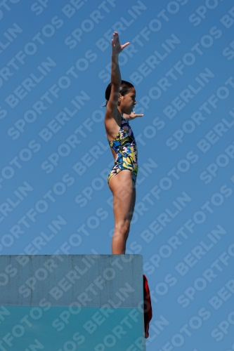 2017 - 8. Sofia Diving Cup 2017 - 8. Sofia Diving Cup 03012_25598.jpg