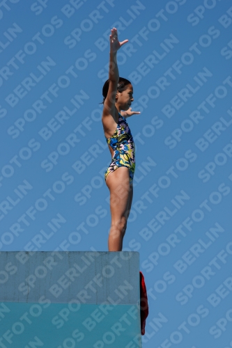 2017 - 8. Sofia Diving Cup 2017 - 8. Sofia Diving Cup 03012_25599.jpg