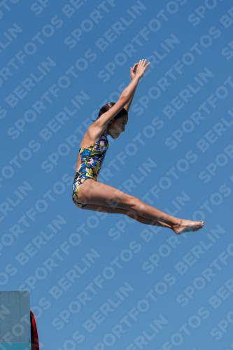 2017 - 8. Sofia Diving Cup 2017 - 8. Sofia Diving Cup 03012_25601.jpg
