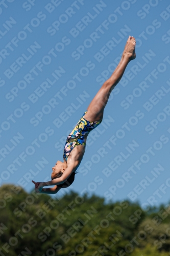 2017 - 8. Sofia Diving Cup 2017 - 8. Sofia Diving Cup 03012_25603.jpg