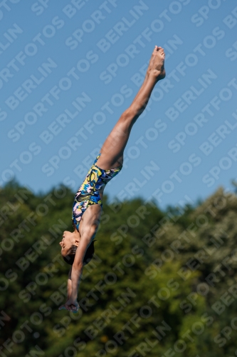 2017 - 8. Sofia Diving Cup 2017 - 8. Sofia Diving Cup 03012_25604.jpg