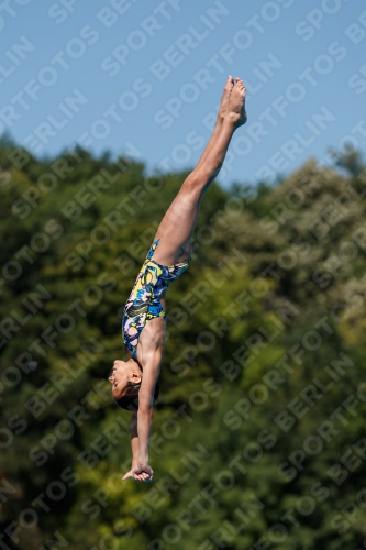2017 - 8. Sofia Diving Cup 2017 - 8. Sofia Diving Cup 03012_25605.jpg