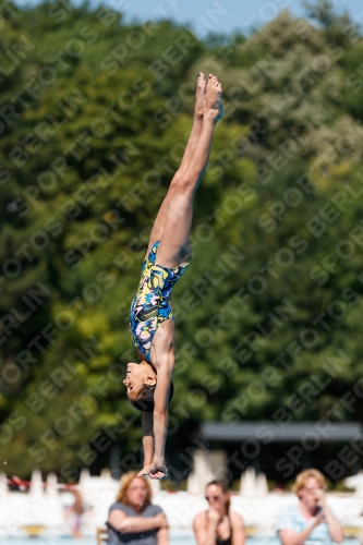 2017 - 8. Sofia Diving Cup 2017 - 8. Sofia Diving Cup 03012_25606.jpg