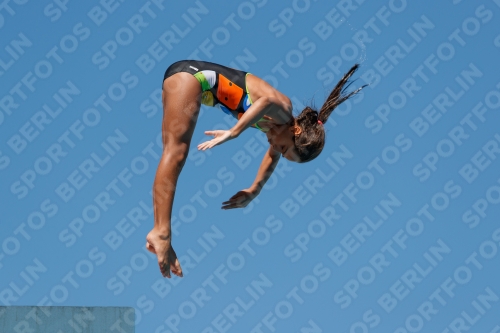 2017 - 8. Sofia Diving Cup 2017 - 8. Sofia Diving Cup 03012_25616.jpg
