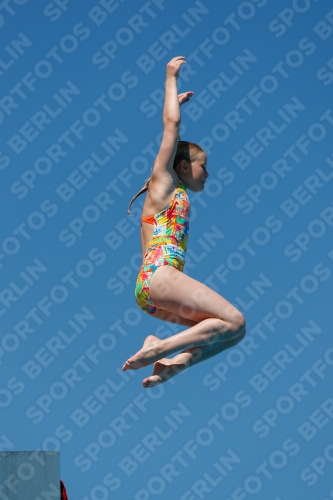 2017 - 8. Sofia Diving Cup 2017 - 8. Sofia Diving Cup 03012_25626.jpg