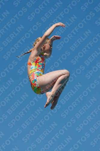 2017 - 8. Sofia Diving Cup 2017 - 8. Sofia Diving Cup 03012_25627.jpg
