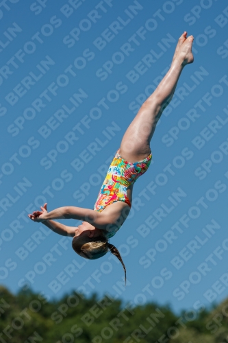 2017 - 8. Sofia Diving Cup 2017 - 8. Sofia Diving Cup 03012_25631.jpg