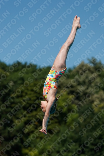 2017 - 8. Sofia Diving Cup 2017 - 8. Sofia Diving Cup 03012_25632.jpg