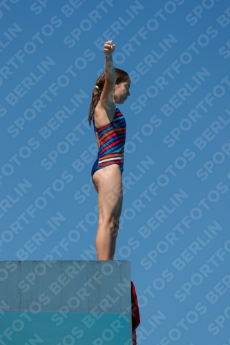 2017 - 8. Sofia Diving Cup 2017 - 8. Sofia Diving Cup 03012_25635.jpg