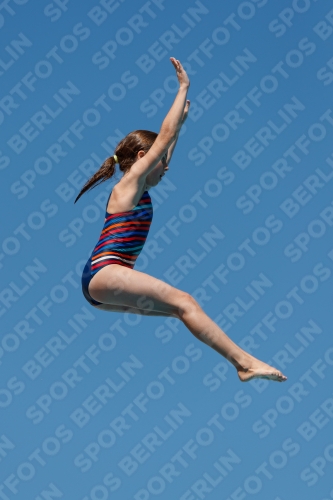 2017 - 8. Sofia Diving Cup 2017 - 8. Sofia Diving Cup 03012_25637.jpg