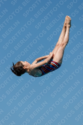 2017 - 8. Sofia Diving Cup 2017 - 8. Sofia Diving Cup 03012_25639.jpg