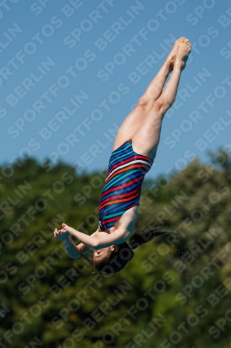 2017 - 8. Sofia Diving Cup 2017 - 8. Sofia Diving Cup 03012_25641.jpg