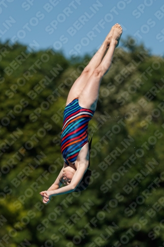 2017 - 8. Sofia Diving Cup 2017 - 8. Sofia Diving Cup 03012_25642.jpg