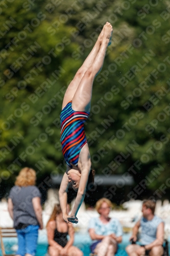 2017 - 8. Sofia Diving Cup 2017 - 8. Sofia Diving Cup 03012_25643.jpg