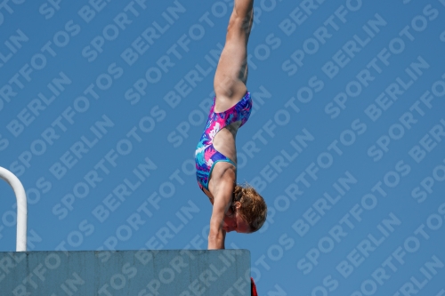 2017 - 8. Sofia Diving Cup 2017 - 8. Sofia Diving Cup 03012_25646.jpg