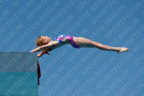 2017 - 8. Sofia Diving Cup 2017 - 8. Sofia Diving Cup 03012_25649.jpg