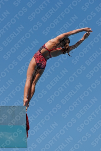 2017 - 8. Sofia Diving Cup 2017 - 8. Sofia Diving Cup 03012_25654.jpg