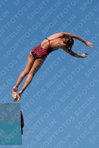 2017 - 8. Sofia Diving Cup 2017 - 8. Sofia Diving Cup 03012_25655.jpg