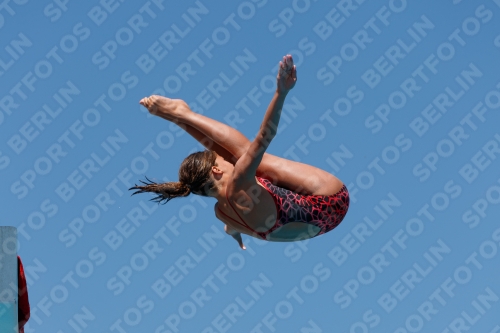 2017 - 8. Sofia Diving Cup 2017 - 8. Sofia Diving Cup 03012_25658.jpg