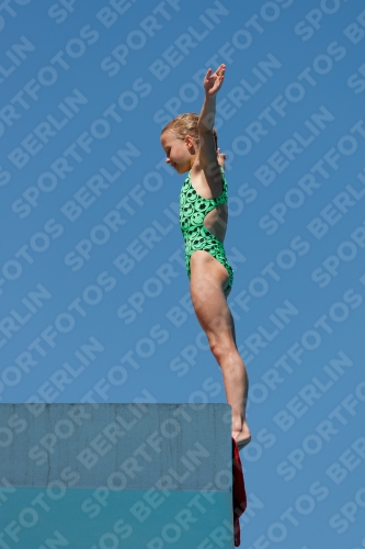 2017 - 8. Sofia Diving Cup 2017 - 8. Sofia Diving Cup 03012_25661.jpg