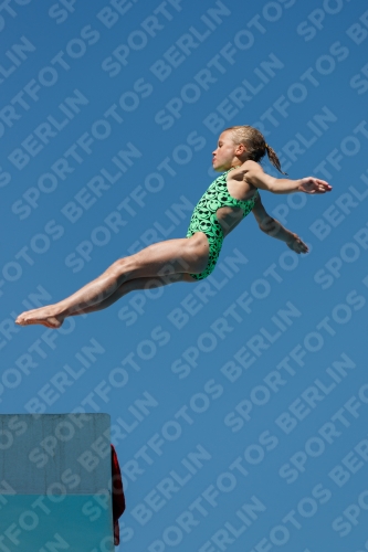 2017 - 8. Sofia Diving Cup 2017 - 8. Sofia Diving Cup 03012_25663.jpg