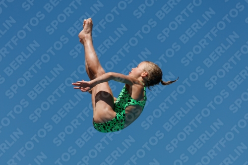 2017 - 8. Sofia Diving Cup 2017 - 8. Sofia Diving Cup 03012_25665.jpg