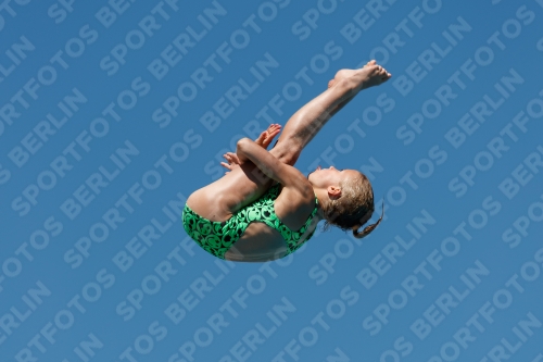 2017 - 8. Sofia Diving Cup 2017 - 8. Sofia Diving Cup 03012_25666.jpg