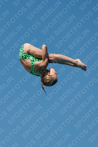 2017 - 8. Sofia Diving Cup 2017 - 8. Sofia Diving Cup 03012_25667.jpg